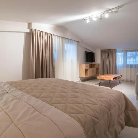 Privilege Luxury Living Apartment Sarti
